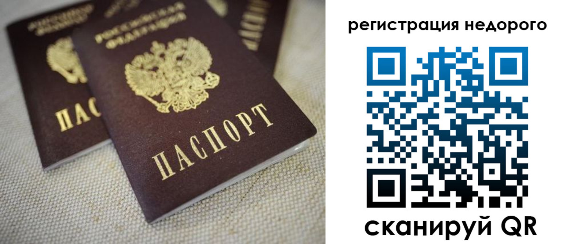 временная регистрация гарантия в Ельне